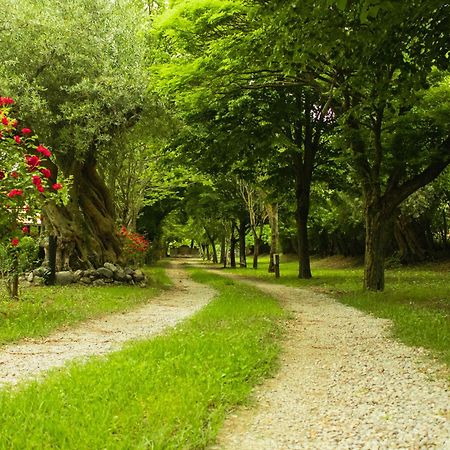 Ciclopark Morano Calabro Villa Eksteriør billede